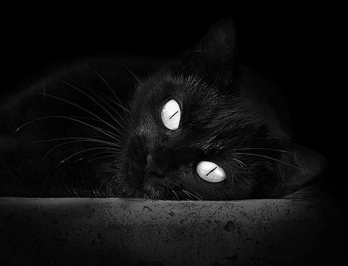 胜利密码，当药厂铁血映照三球王之夜—解码绝境中的领导者基因