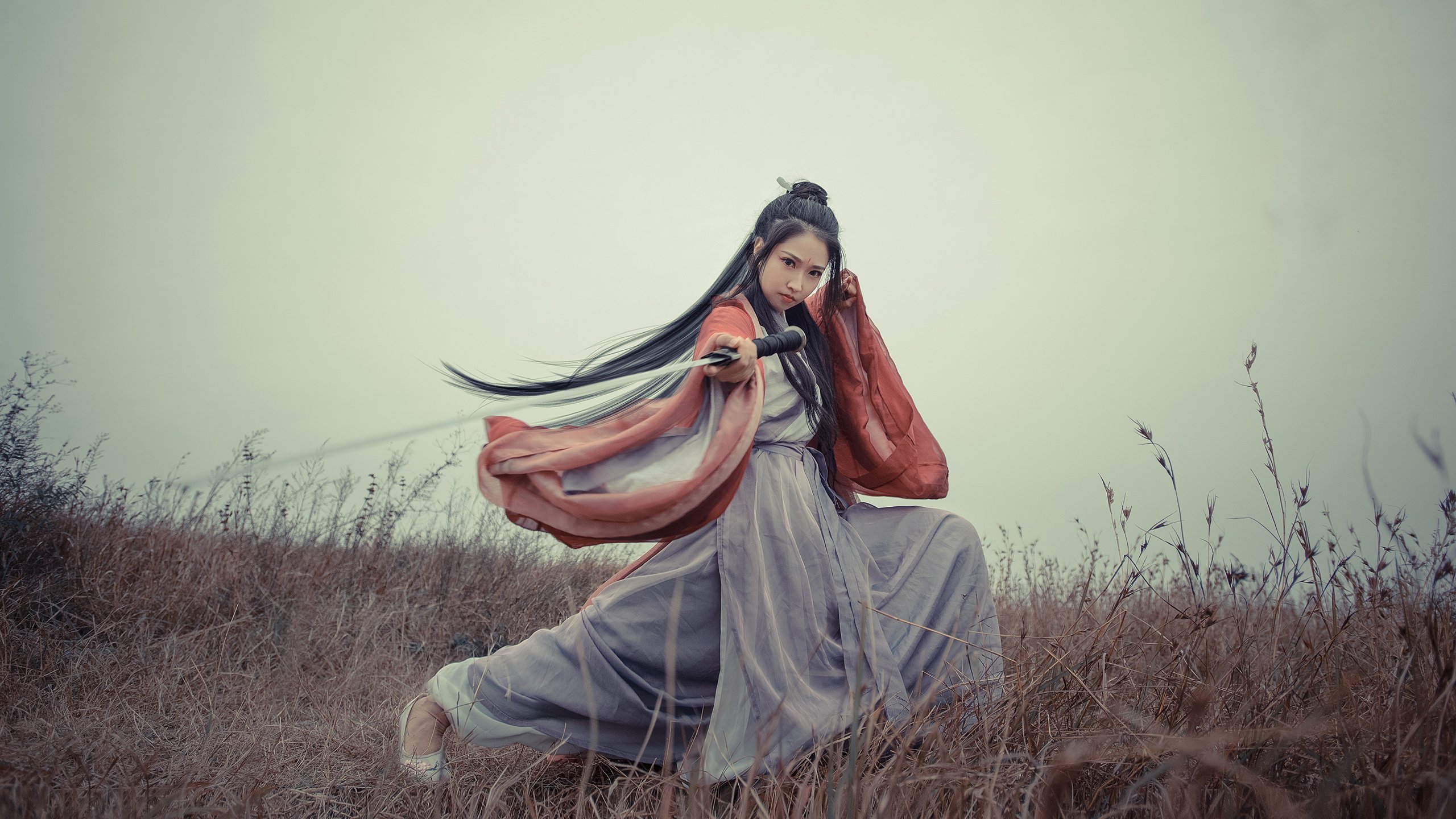 篮球宇宙的终极统治，当森林狼战术遇上库里，万物皆可解？