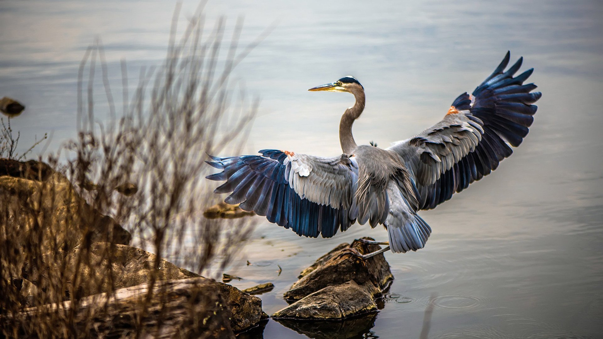 冠军之心，永不熄灭