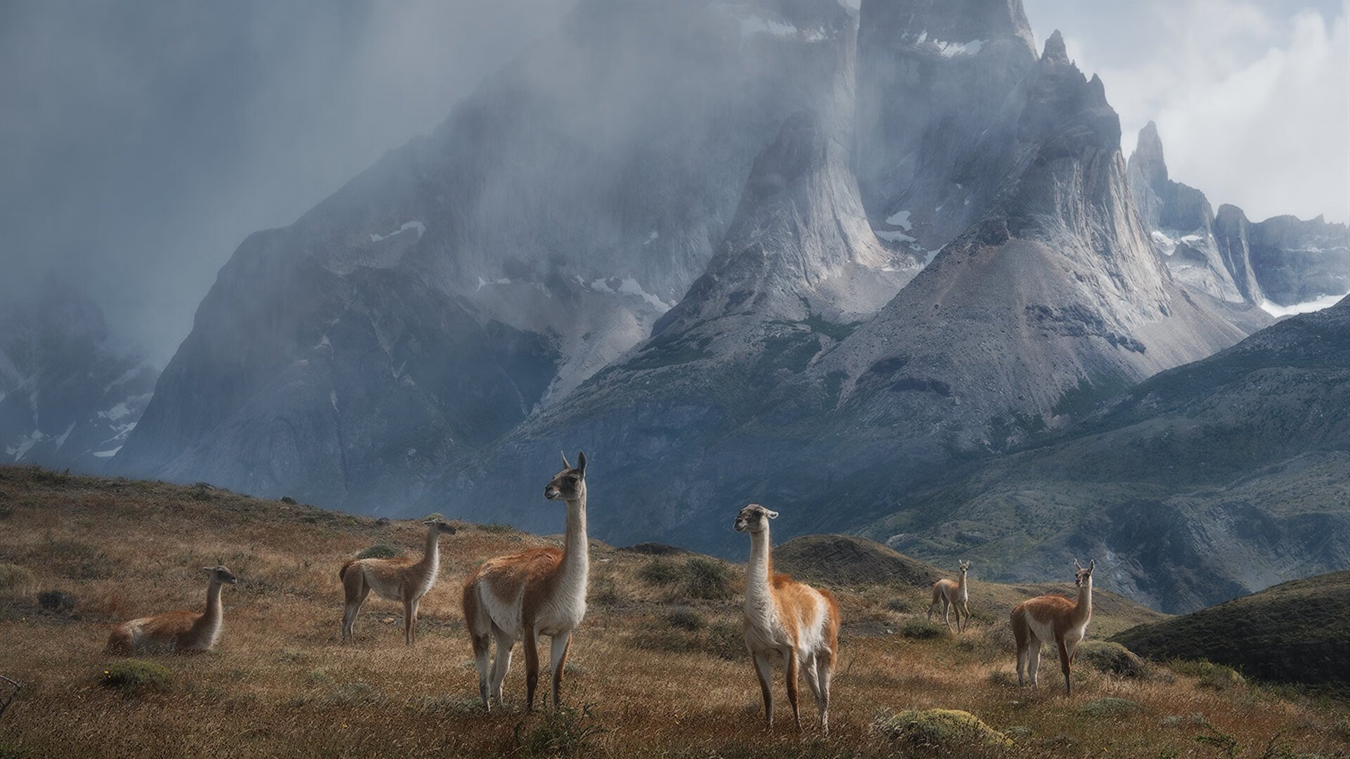 开云体育-勇敢的心，卢卡库灾难艺术与加纳黑色流星的史诗翻转—一场反向救赎的绿茵启示录