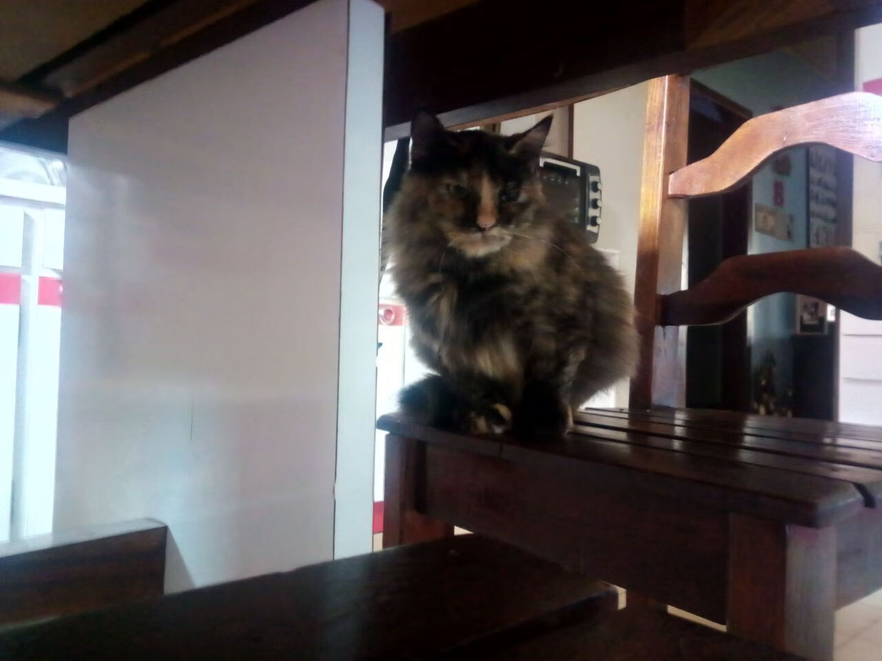 巨星闪光与钢铁洪流，足球世界的两种胜利法则