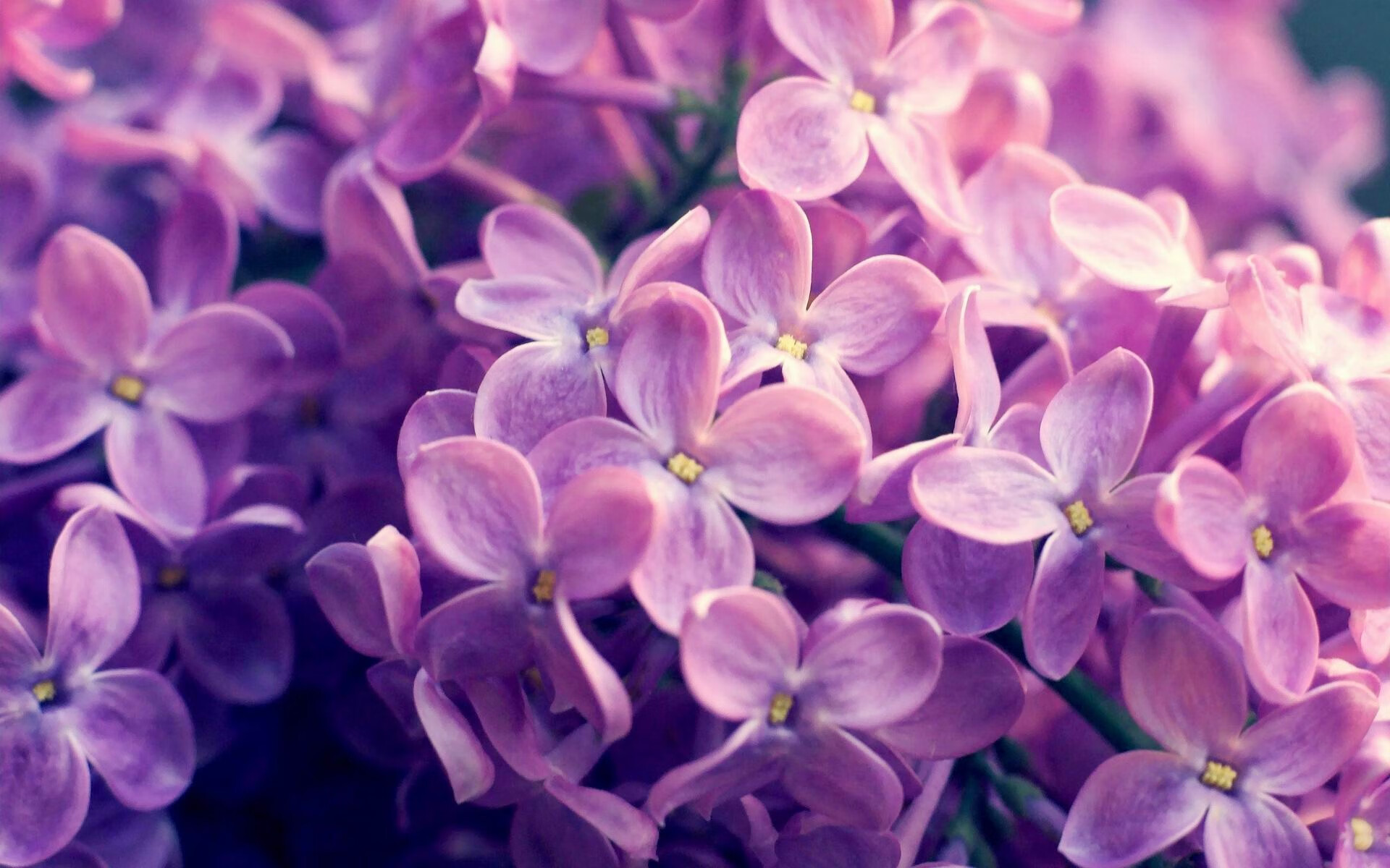 开云体育在线-跨界生死战！辽宁队斯篮决胜局绝杀奥沙利文，杜兰特49分统治时空裂缝