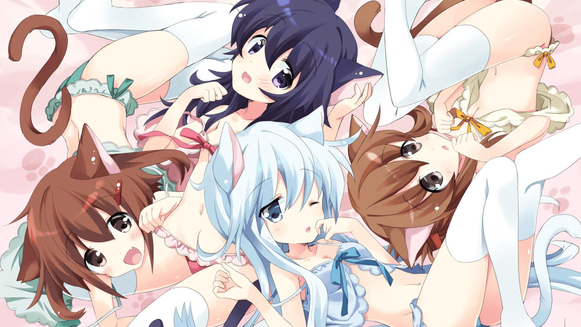 特奥，从后场撕裂防线的艺术家，诠释塞内加尔对阵安哥拉一役的胜负钥匙