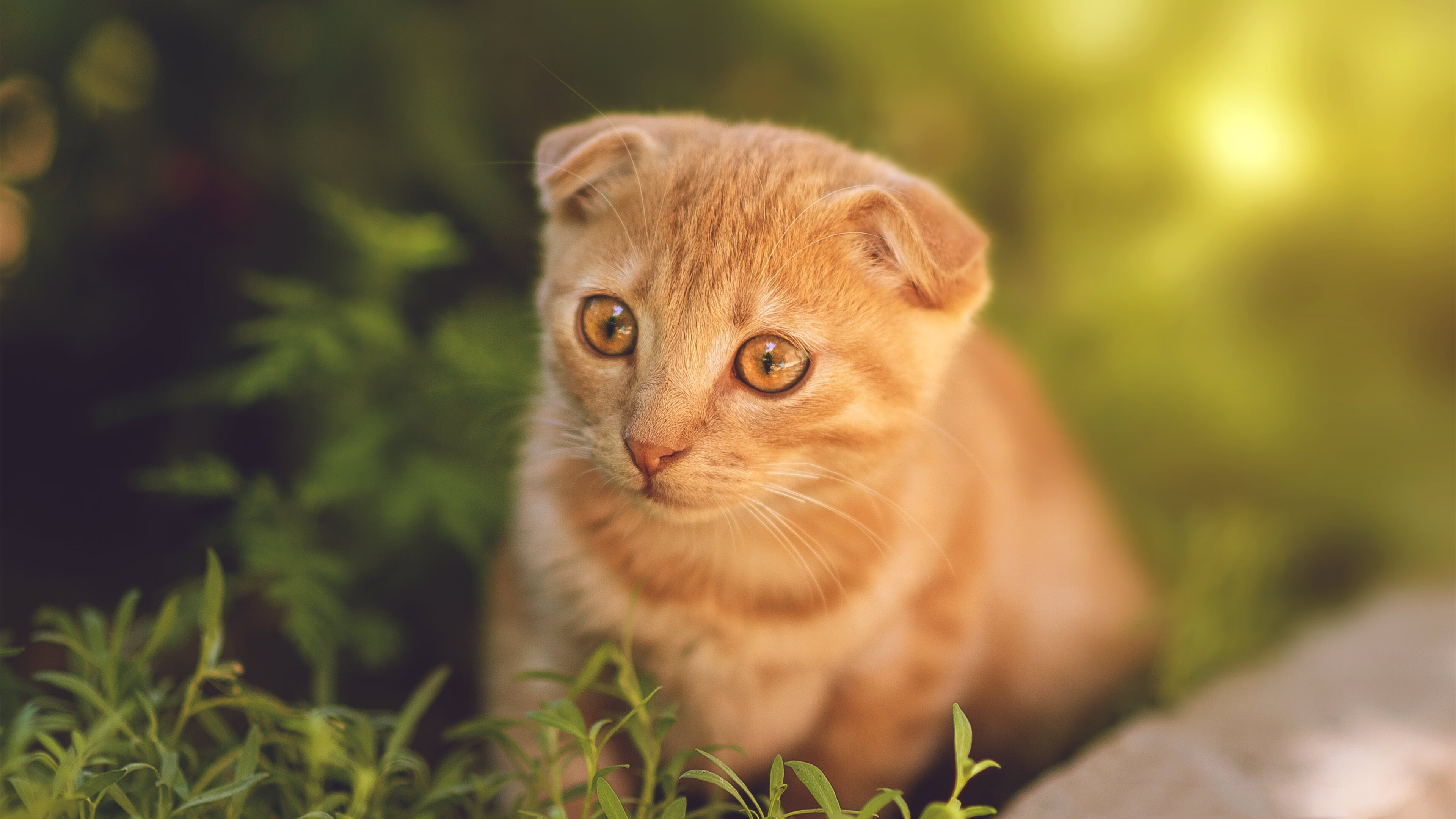 血战奖章，西决生死夜坎特成就蓝领里程碑