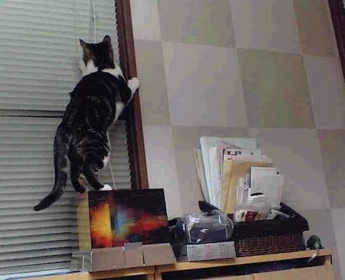 钢铁丛林中的奇迹，深圳队冲垮76人记