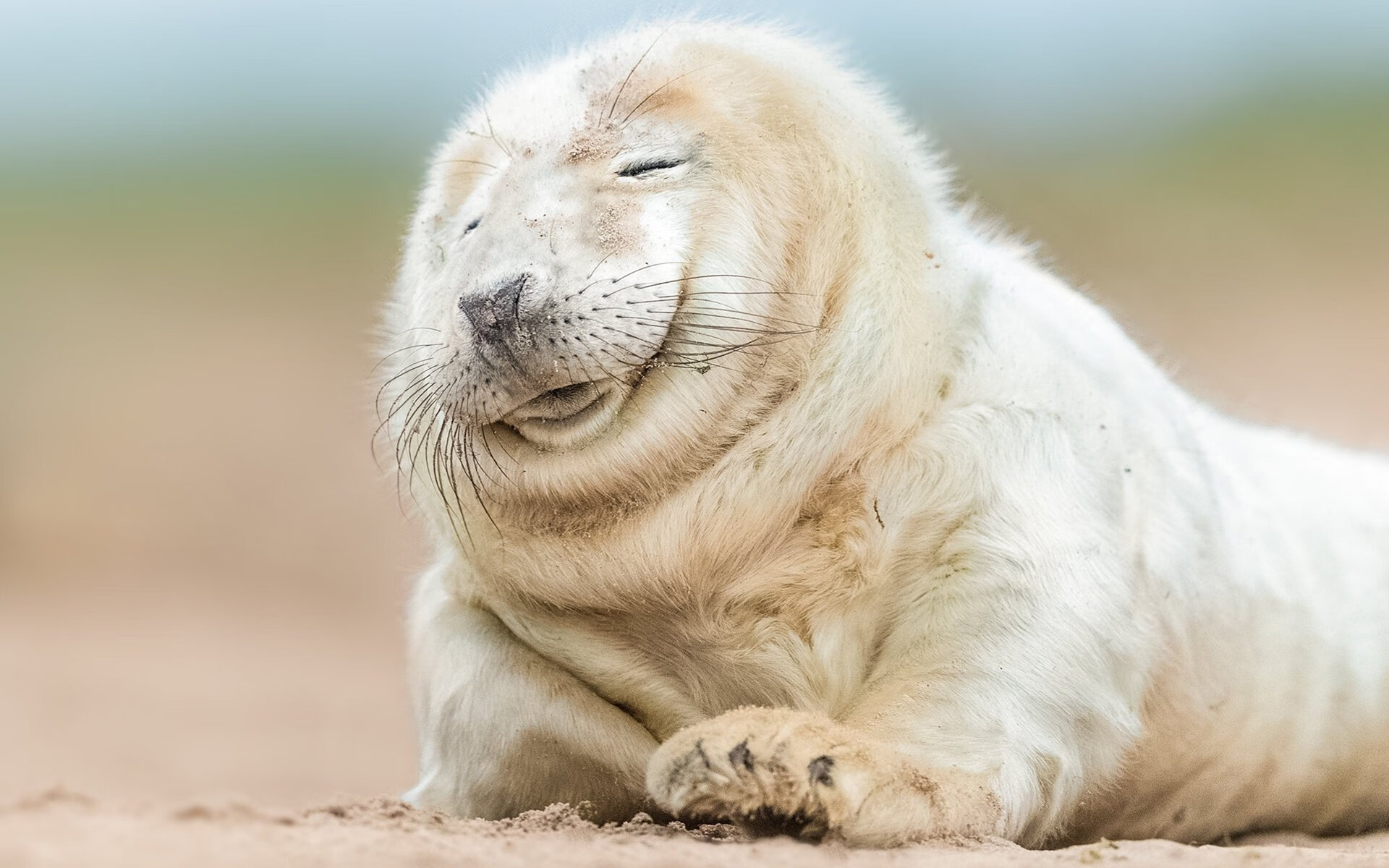 时空错位的进球，当阿尔瓦雷斯在马里与塞内加尔之战中撕裂现实