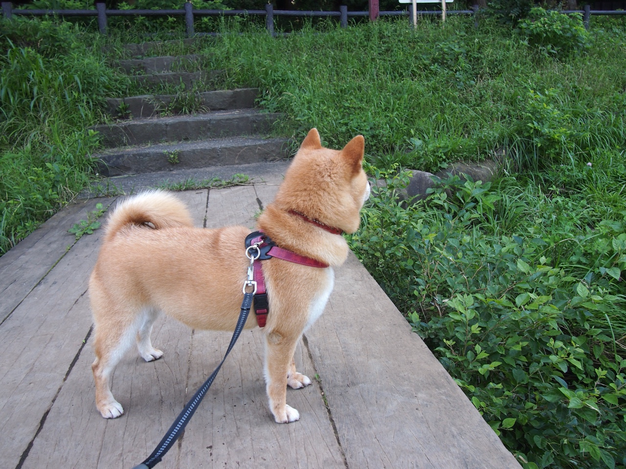 开云体育2026-跨洲友谊赛火花四溅，比利亚雷亚尔鏖战塞内加尔，马丁内利替补登场点燃赛场