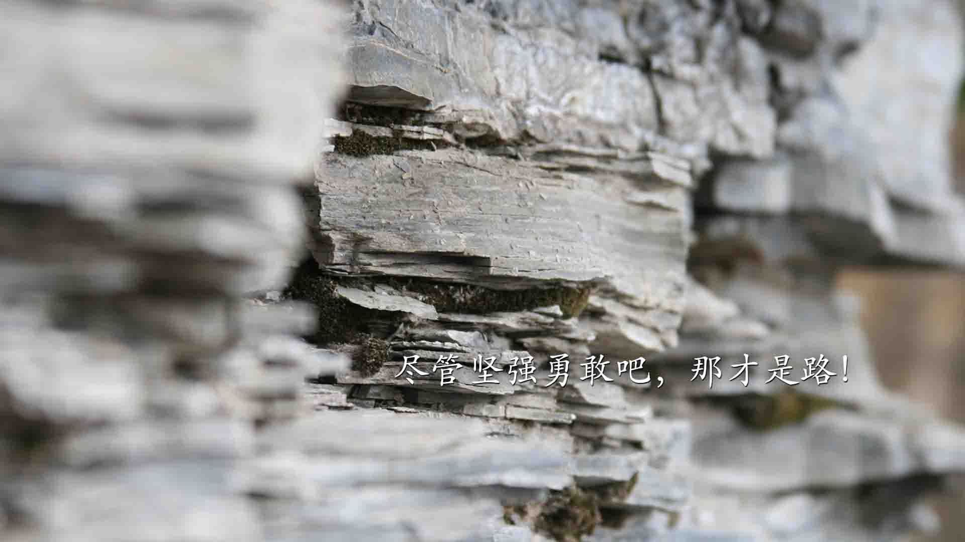 东方时针，当西决的齿轮咬合日本足球的精密单节