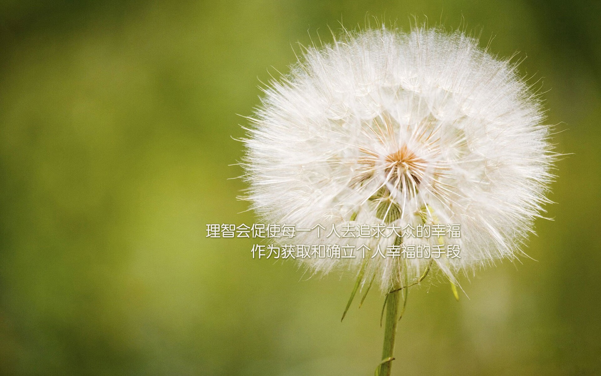 开云体育官网-冰原巨浪席卷绿茵，冰岛铁桶阵如何扼杀奥地利，迪亚斯铸就暗夜中唯一神光