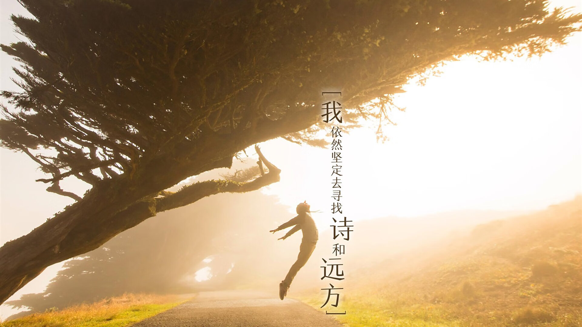 开云体育2026-铁幕下的裂缝，当吉鲁的唯一性撕裂了G组的北非之盾