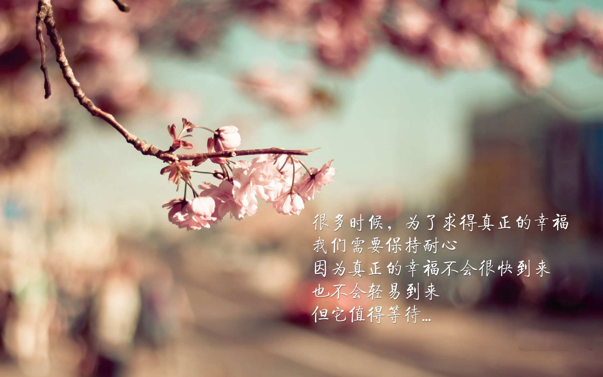 开云体育app-铁骑踏破东欧壁垒，神童点亮多哈夜空，2026世界杯F组，伊朗的钢铁洪流与久保建英的魔法时刻